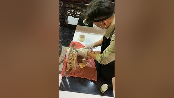 Hướng dẫn sử dụng thuốc diệt mối pmc 90 đúng cách | PMC 90dp