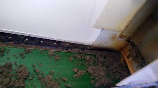 Meat processing - DAF sludge dewatering