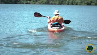 CCFPD Homer Lake