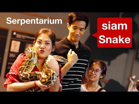 Siam Serpentarium Bangkok snake museum