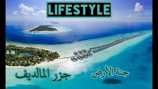 Lifestyle | Maldives 2    |   جنة الأرض جزر المالديف