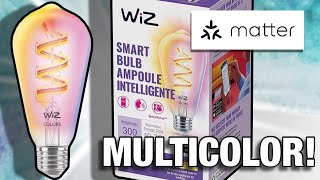 Wiz Colorful Filament Bulb for Apple Home | Review and Showcase screenshot 2