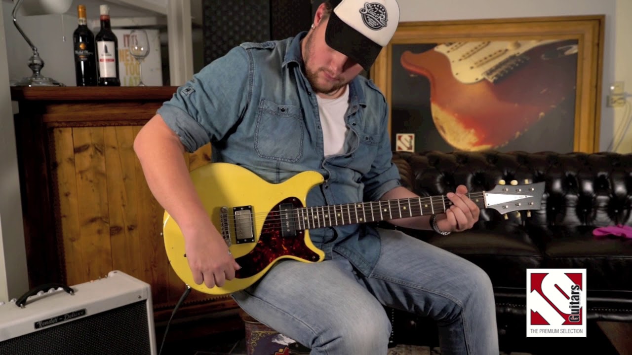 Bassart D Cat TV Star Aged