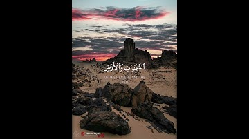 الذين يذكرون الله قيامًا وقعودا وعلى جنوبهم | سورة آل عمران