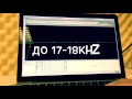 Kick | Основы Эквализации | Express EQ