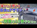 【2ch動物スレ】海から上陸するデカすぎアザラシ→お前らの想像の10倍デカいｗｗｗ【ゆっくり解説】