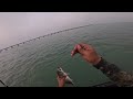 How to catch your limit in south padre island secret spot