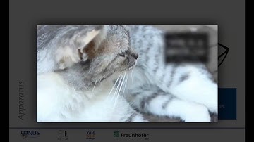 Positioning Glass: Investigating Display Positions of Monocular OST-HMD (Presentation)