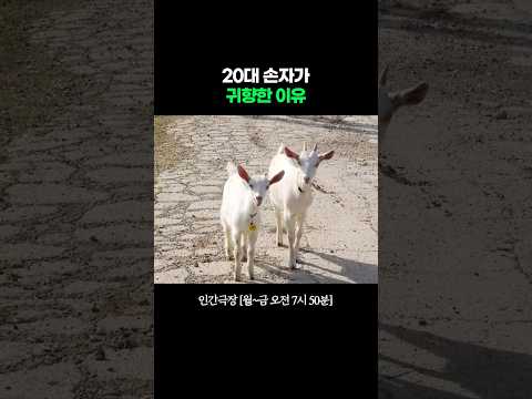 <strong>20대</strong> 손자의 귀향 #인간극장ㅣKBS 260727 방송