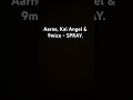 Aarne Kai Angel 9mice SPRAY mp3
