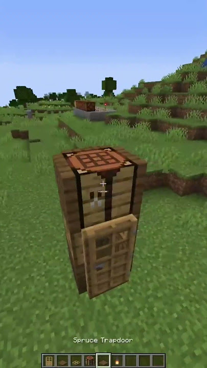 Smallest House Minecraft #tiktokeffects #shorts #minecraft #gaming #mrcrazy