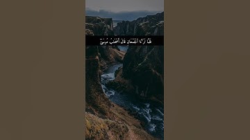 سورة الشعراء / القارئ فيصل الهاجري / تلاوة خاشعة تريح سمعك