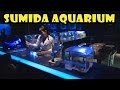 Sumida Aquarium at the Tokyo Skytree