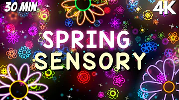 Sensory Videos for Autism Morning Happiness with Flower Visuals