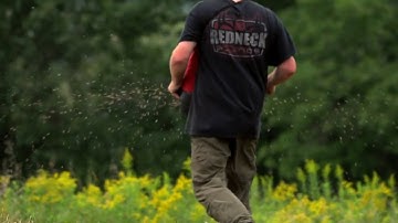PLANT Perennial or ANNUAL Food Plots?