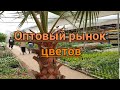 Оптовый  рынок  цветов.