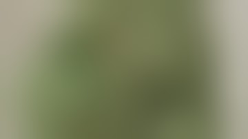 Canadian Dynavap Sesh With Steve