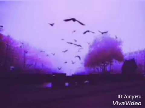 اغنيه ياروح الروح مابعدك روح 