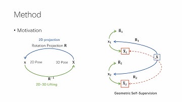 Unsupervised 3D Animal Canonical Pose Estimation with Geometric Self-Supervision