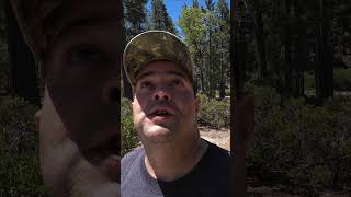 Great Hobby! | Beautiful backdrop scenery | #subscribe