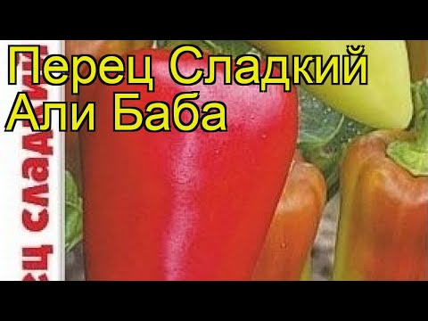 Перец сладкий Али Баба. Краткий обзор, описание характеристик capsicum annuum Ali Baba