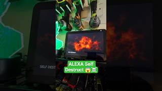 I told My Alexa To Self Destruct and it did it 😱 #funny #humor #alexa #shorts #tech #try
