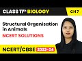 Structural Organisation in Animals - NCERT Solutions | Class 11th Biology Chapter 7 | CBSE