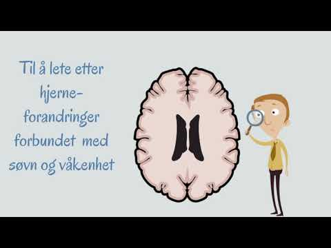 Video: Hva Skjer I Hjernen Vår Livskvaliteten