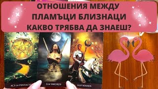 ❤️‍🔥ПЛАМЪЦИ БЛИЗНАЦИ❤️‍🔥КАКВО ТРЯБВА ДА ЗНАЕШ ЗА ТЕЗИ ОТНОШЕНИЯ❓| Timeless✨