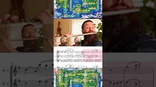 Pokémon Red & Blue Title Screen FLUTE COVER