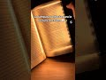 La lámpara PERFECTA para lectura nocturna 📖✨ | Luz Cozy para Leer