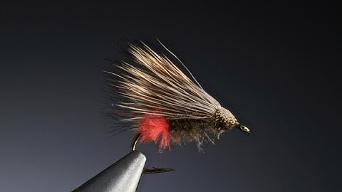Tying the Double D caddis/sedge with Barry Ord Clarke