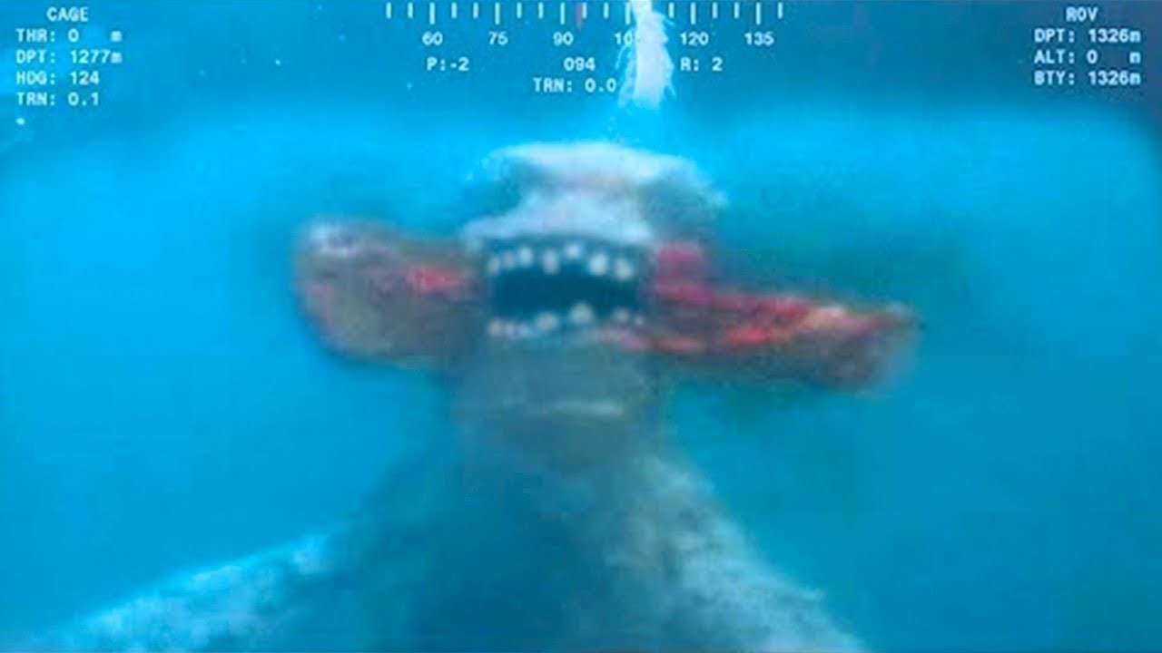 Ocean Jest Znacznie Głębszy, Niż Się Wydaje