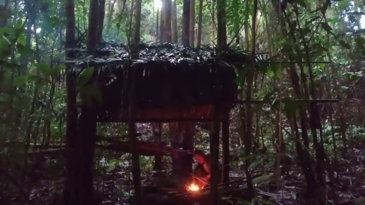 SOLO BUSHCRAFT LOTS OF RAIN, NATURAL SHELTER, COOKING BEES EGGS AND FISH GRILLING