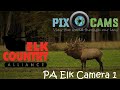 PA Elk Camera 1