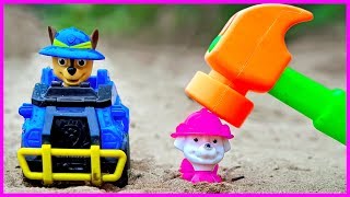 Assembly Paw Patrol Vehicles Toys Videos For Children