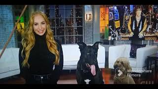 The CW Split Screen Credits (February 25,2023) Completion