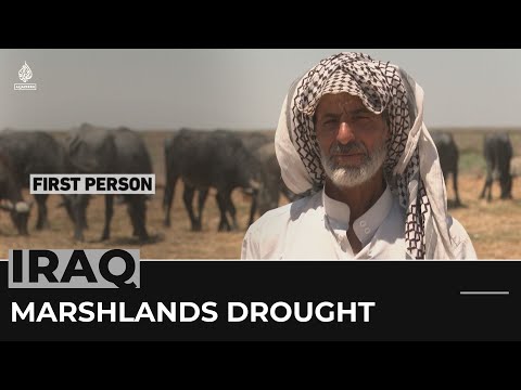 First Person: Southern Iraq's marshlands face worst drought in 40 years