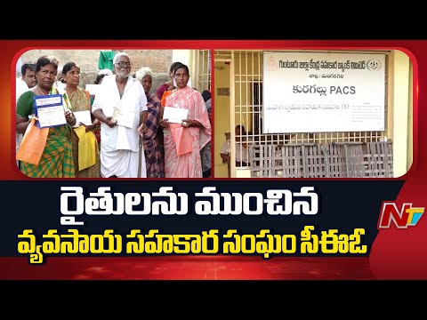 గుంటూరు జిల్లా కురగల్లులో ఘరానా మోసం | Farmers | Guntur district | NTV Telugu - NTVTELUGU