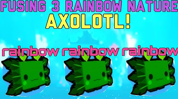 WHAT HAPPENS WHEN YOU FUSE 3 RAINBOW NATURE AXOLOTLS? -Pet Simulator X-