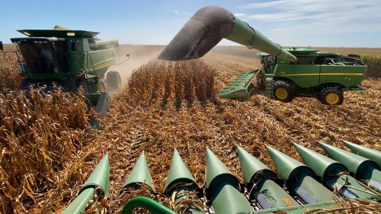 Cosechadoras en Acción / Trillas de Maíz 2023