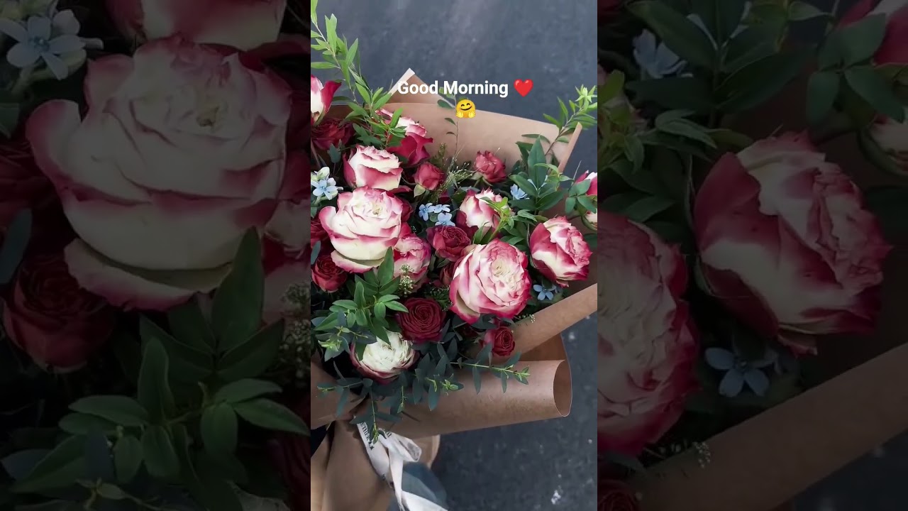 Good Morning My Princess 🤗🥰💫🎸