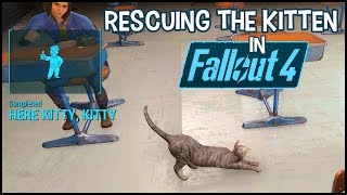 Lets Rescue The Kitten From Vault 81 Here Kitty, Kitty Side Quest