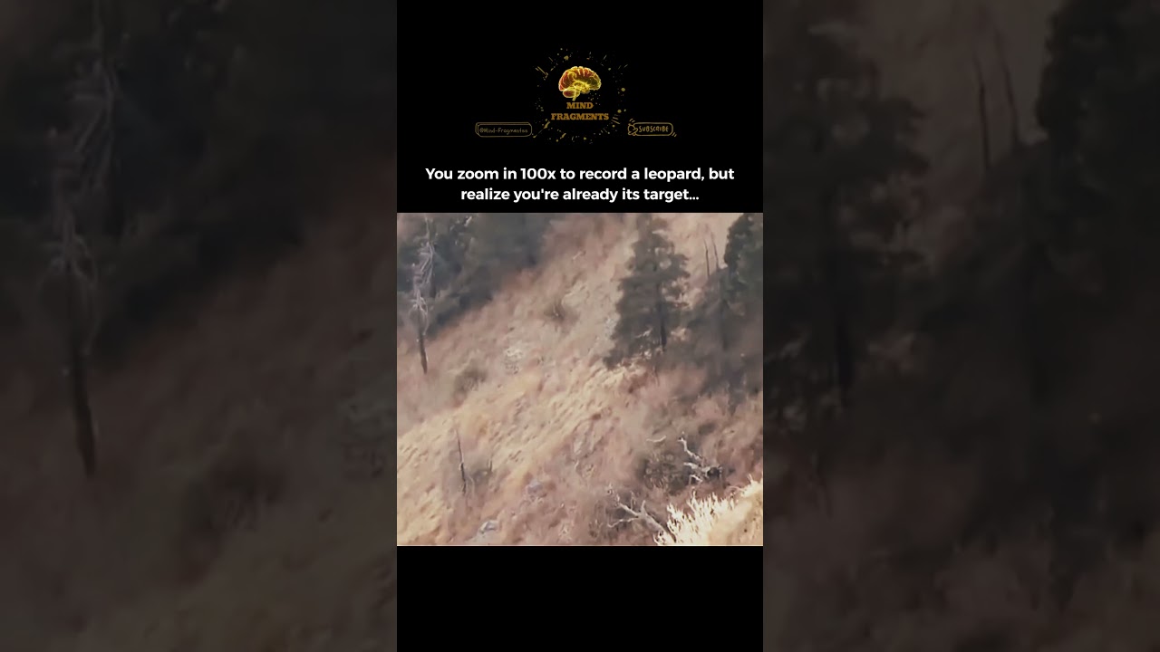 When the Predator is Already Watching You 🐆