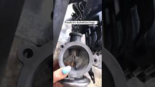 Pastrim Kolektori 0693040020