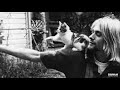 Kurt Cobain - Sappy (Acoustic Demo - Upgrade)