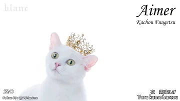 花鳥風月フル Mp3 花鳥風月フル Mp3