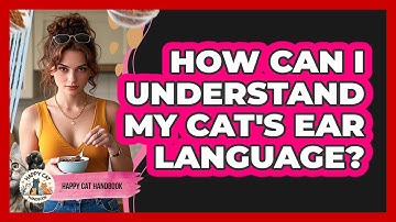 How Can I Understand My Cat