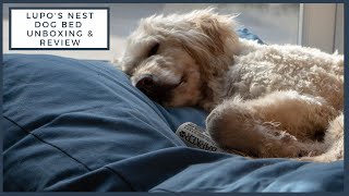 Lupo's Nest Dog Bed Review / AD Gifted