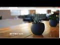 Create a Free Website with Free Domain + Free Hosting and Install WordPress